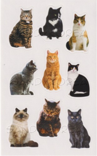Pix-Mini Mixed Cats
