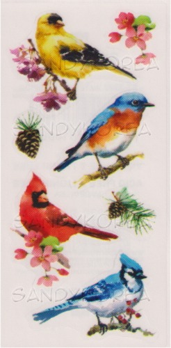 Pix-Watercolor Birds