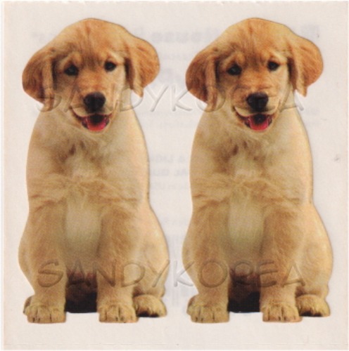 Pix-Golden Retriever Puppy