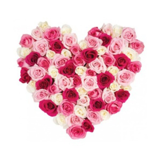 Pix-Pink Heart of Roses 카드