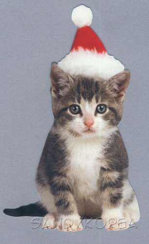 Pix-Holiday Kitten 카드