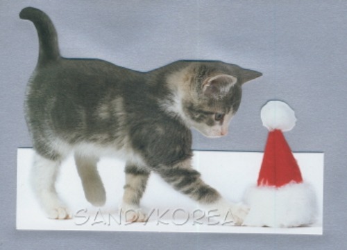 Pix-Kitten Playing with Santa Hat 카드