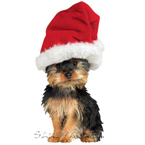 Pix-Holiday Silky Terrier 카드