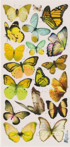 VS-Lemon Butterflies C80