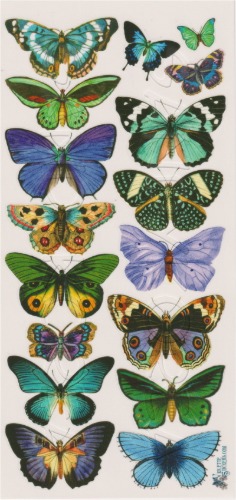 VS-Blue Butterflies C46