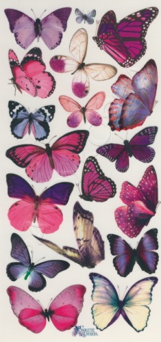 VS-Purple Butterfly C56
