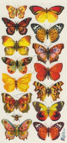 VS-Orange Butterflies C45