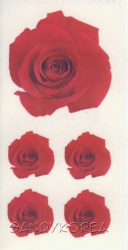 Pix-Red Rose