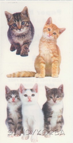 Pix-Playful Kittens