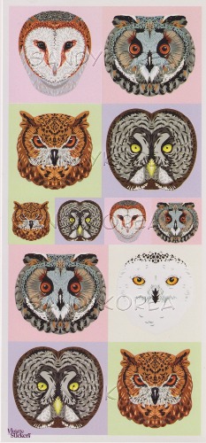 VS-Owl Portraits P90