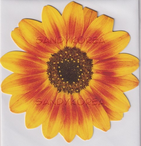 Pix-Ornamental Sunflower 카드