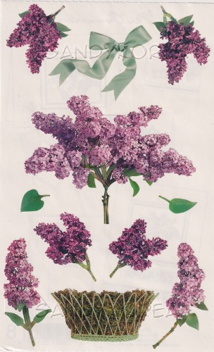 MG-Lilacs