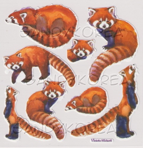 VS-Red Pandas K259