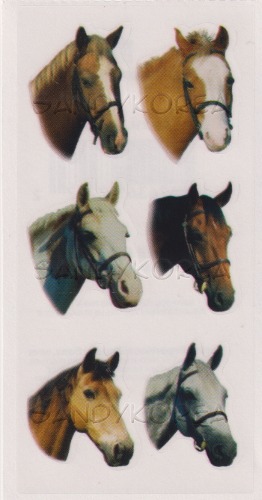 Pix-Horses