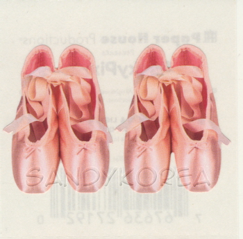 Pix-Ballet Slippers 2