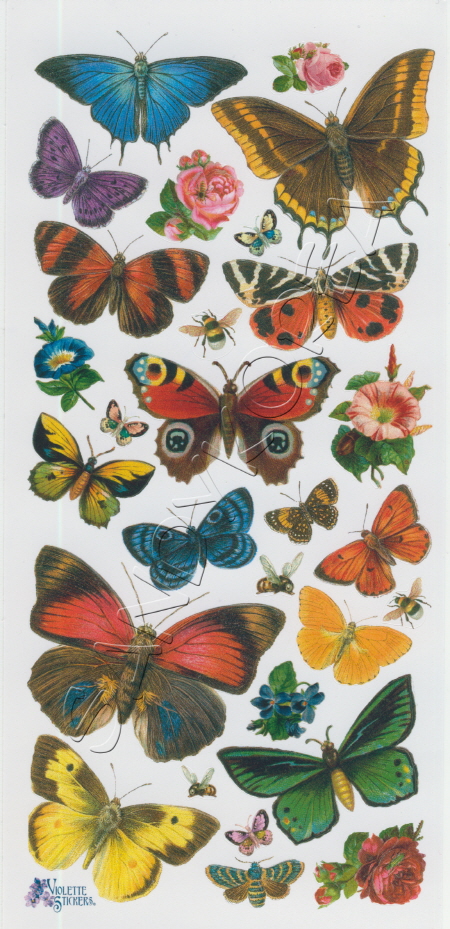 VS-Butterfly Forest P21