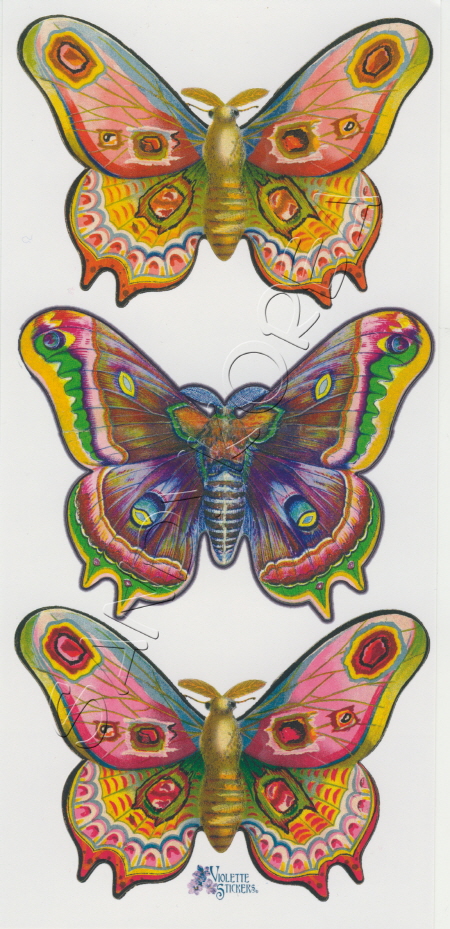 VS-Jumbo Butterfly P70
