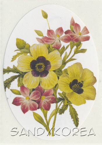VT-Redoute Flowers 4